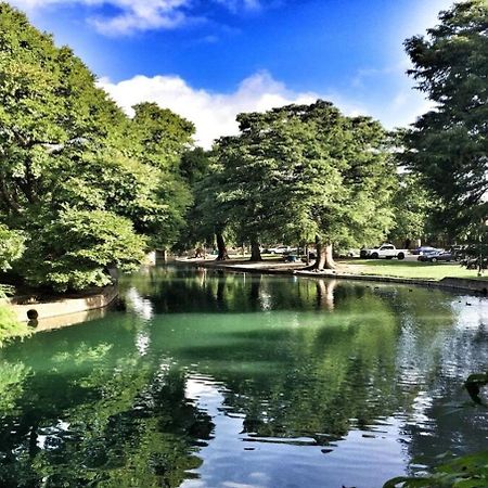 Beautiful Apartment At The Botanical Gardens #1 サンアントニオ エクステリア 写真