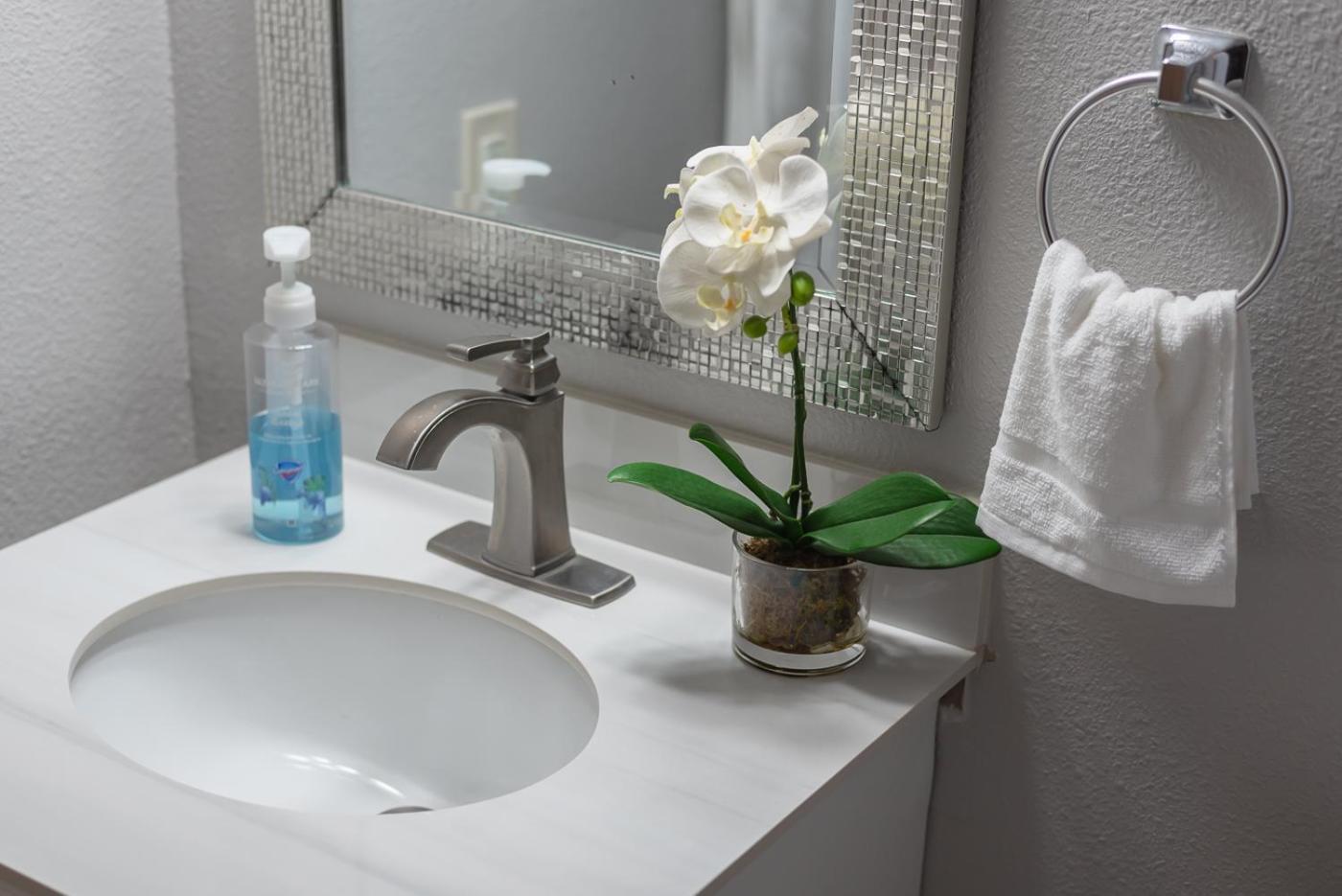 Beautiful Apartment At The Botanical Gardens #1 サンアントニオ エクステリア 写真