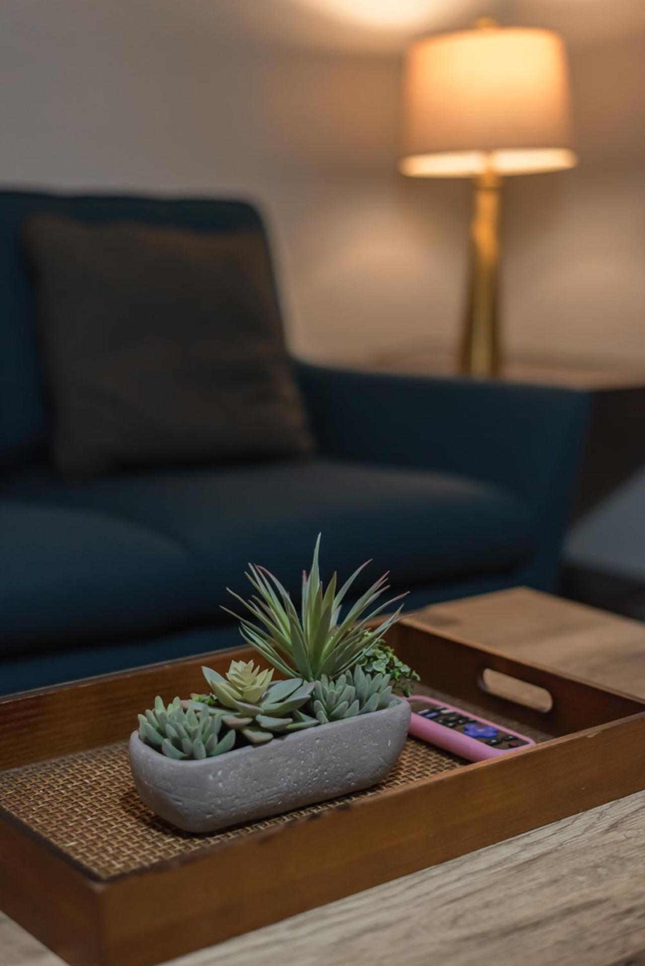 Beautiful Apartment At The Botanical Gardens #1 サンアントニオ エクステリア 写真