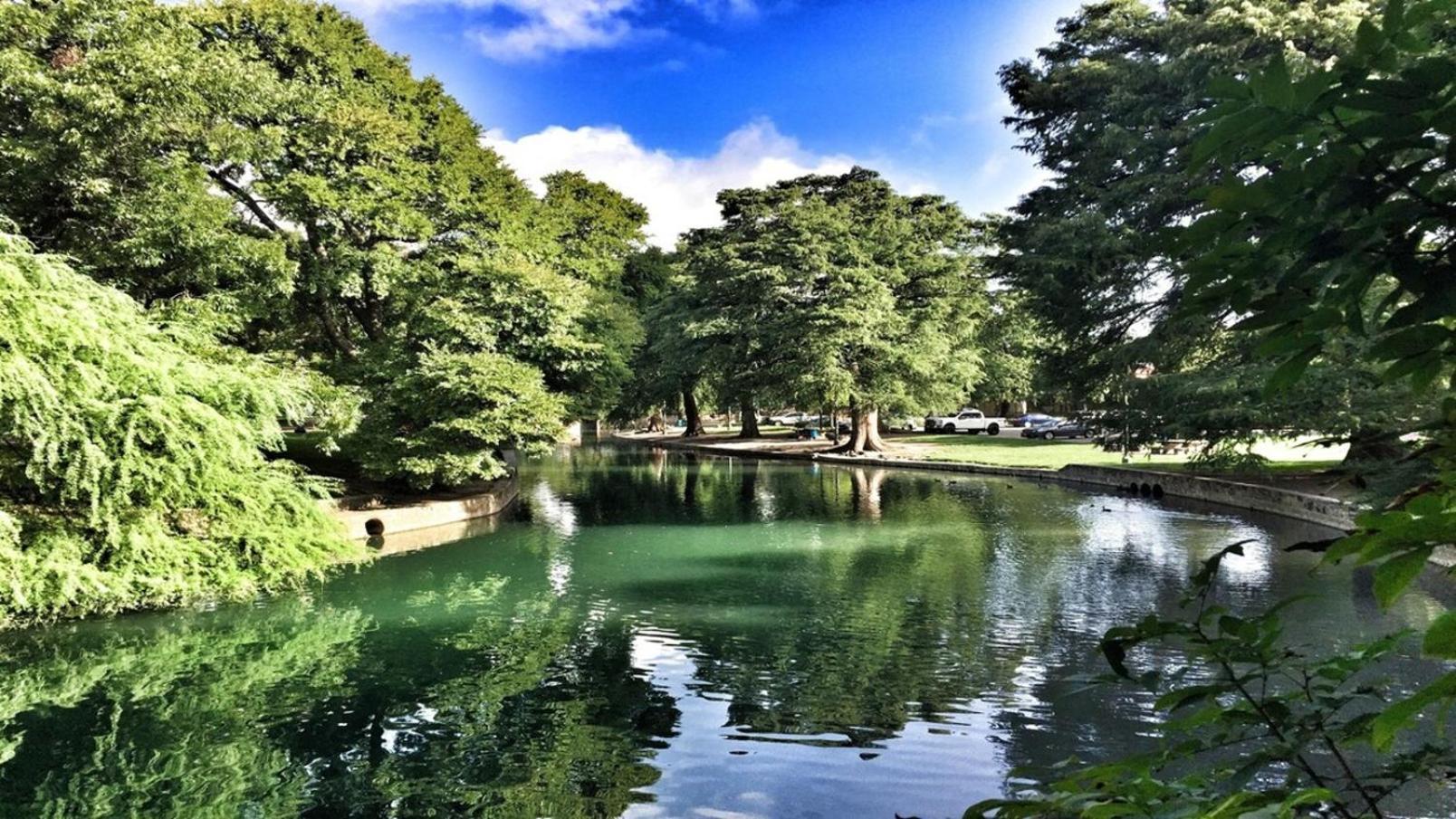 Beautiful Apartment At The Botanical Gardens #1 サンアントニオ エクステリア 写真