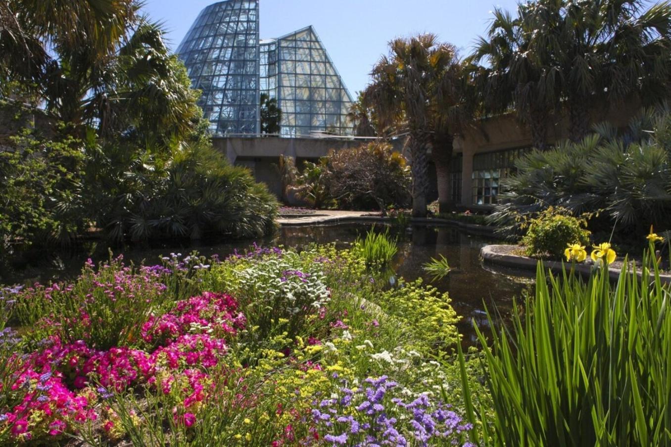 Beautiful Apartment At The Botanical Gardens #1 サンアントニオ エクステリア 写真